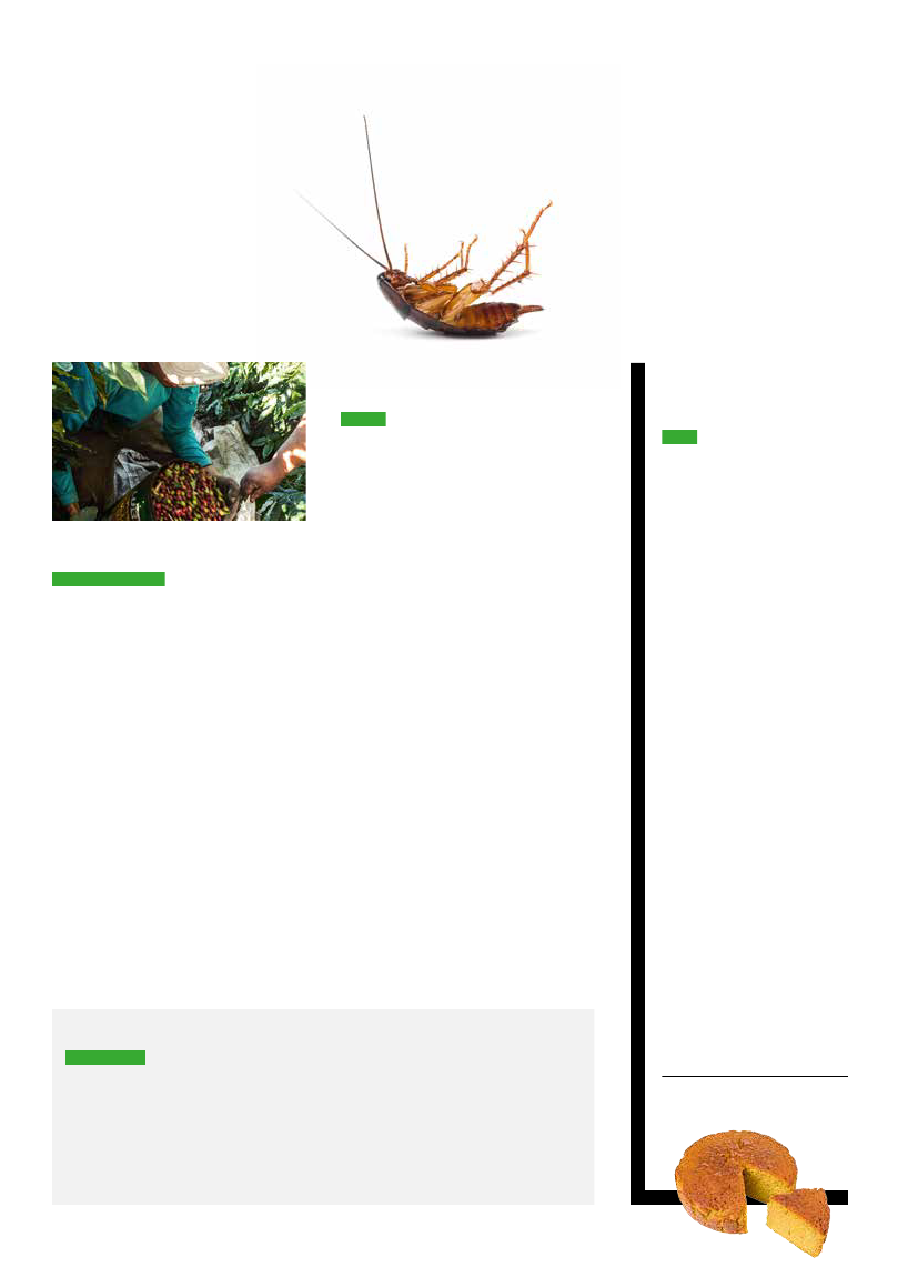 1646692_0006.png