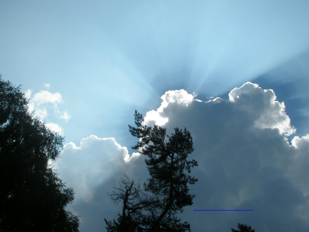 1700196_0001.png