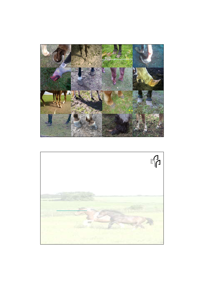 1711740_0001.png