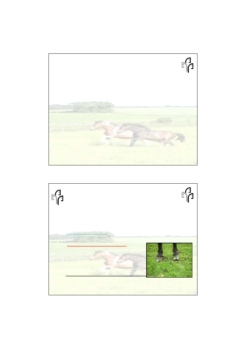 1711740_0002.png