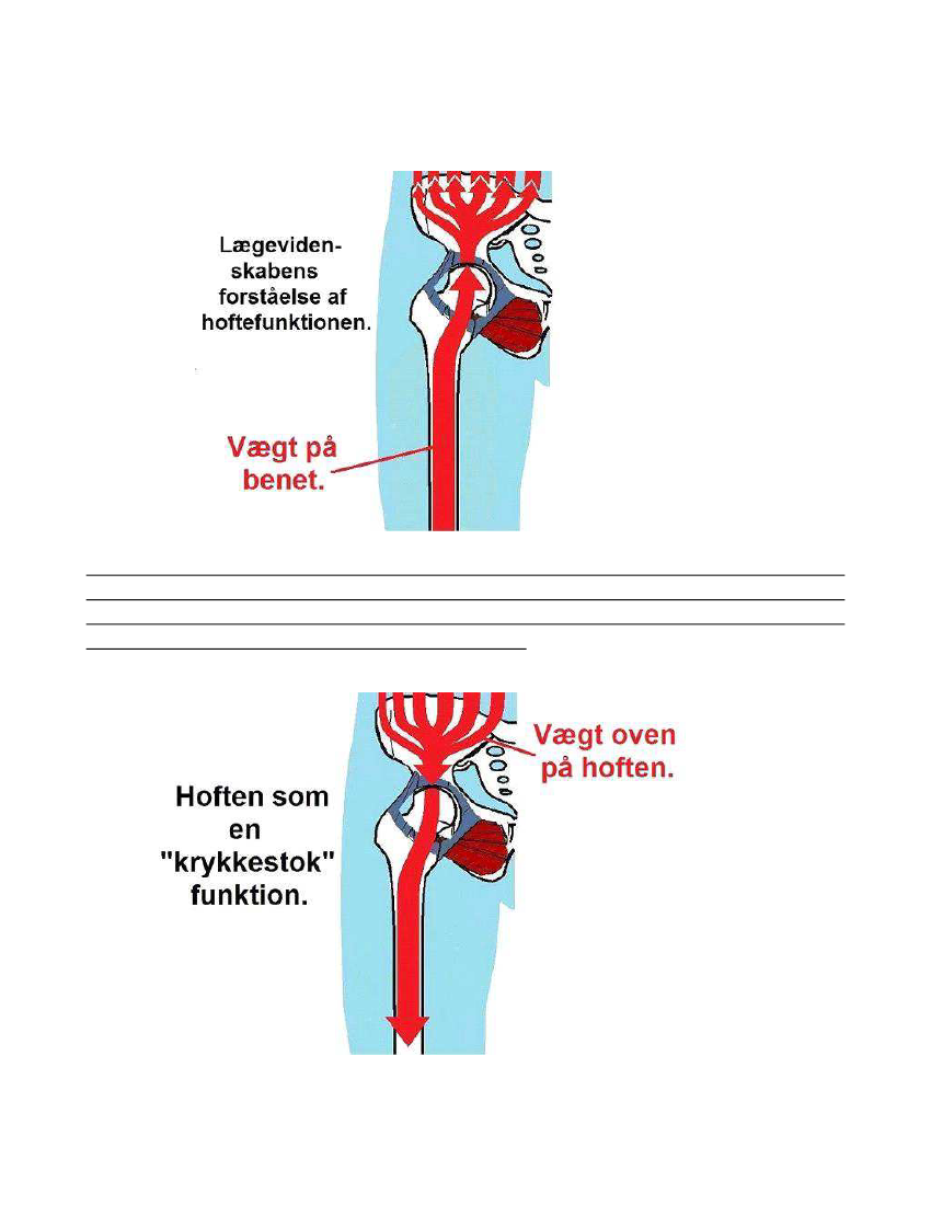 1740069_0004.png