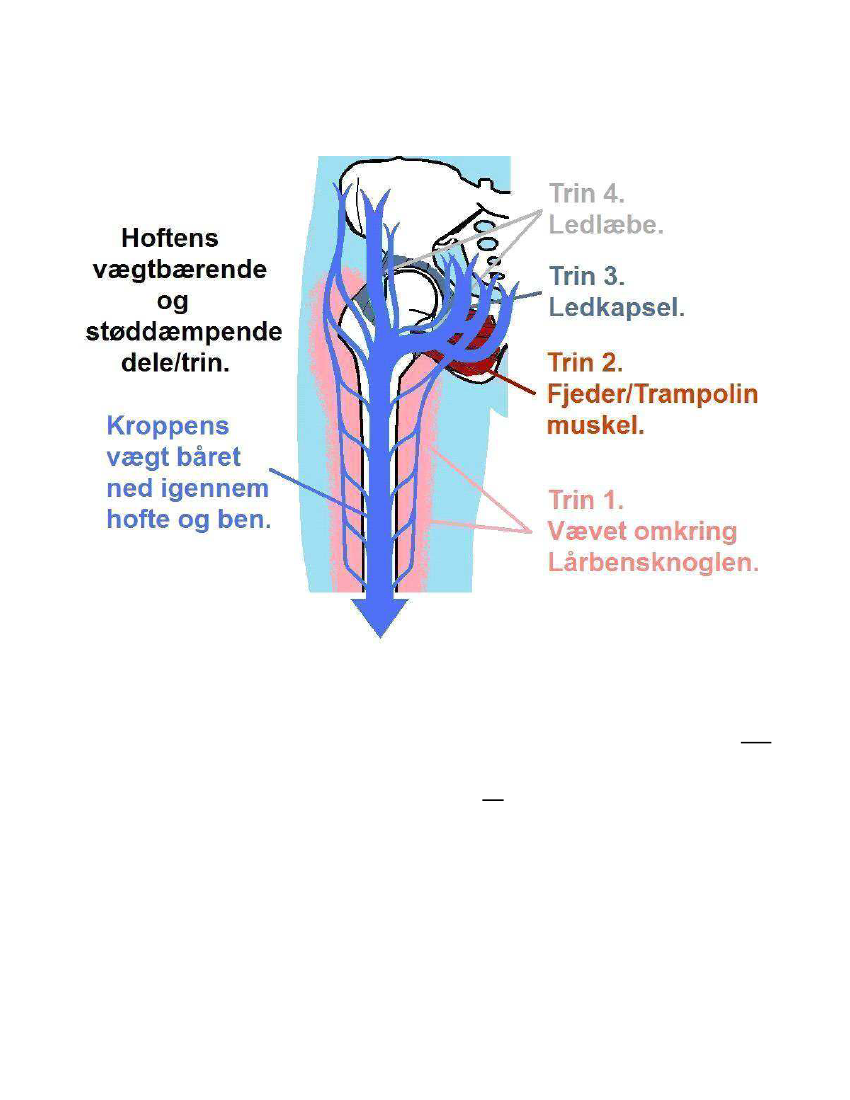 1740069_0015.png