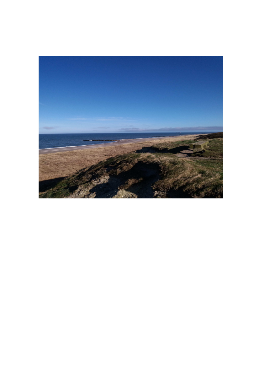 1744358_0005.png