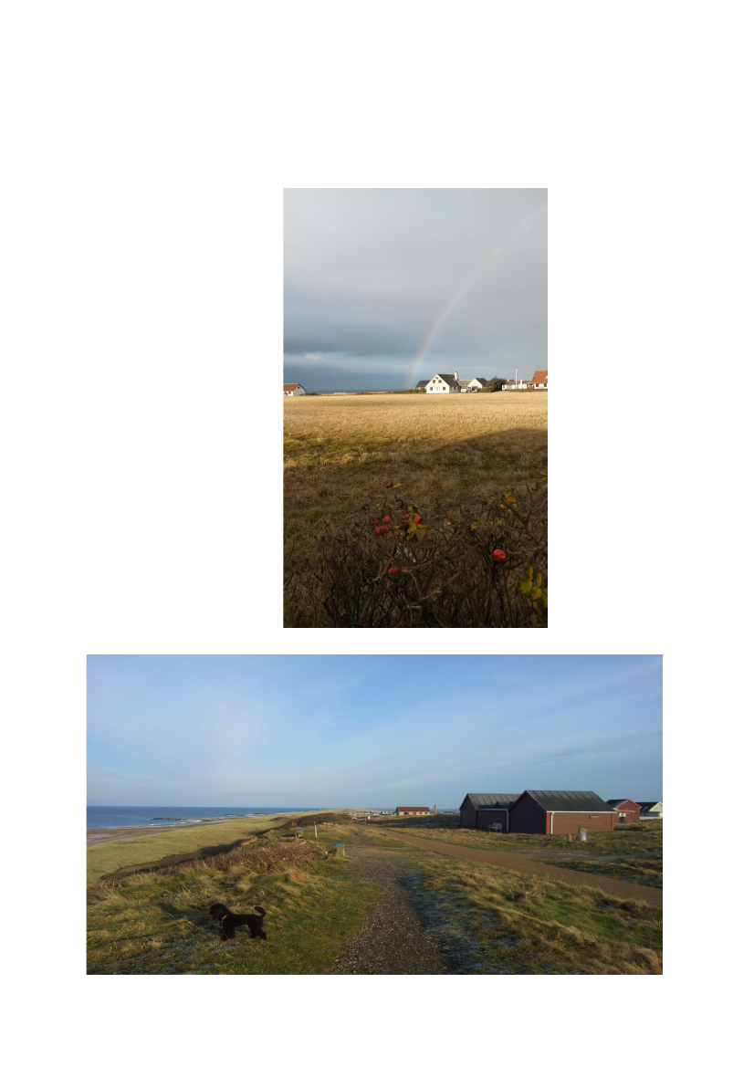 1744358_0007.png