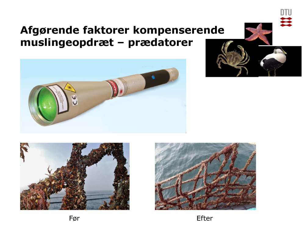 1748376_0011.png