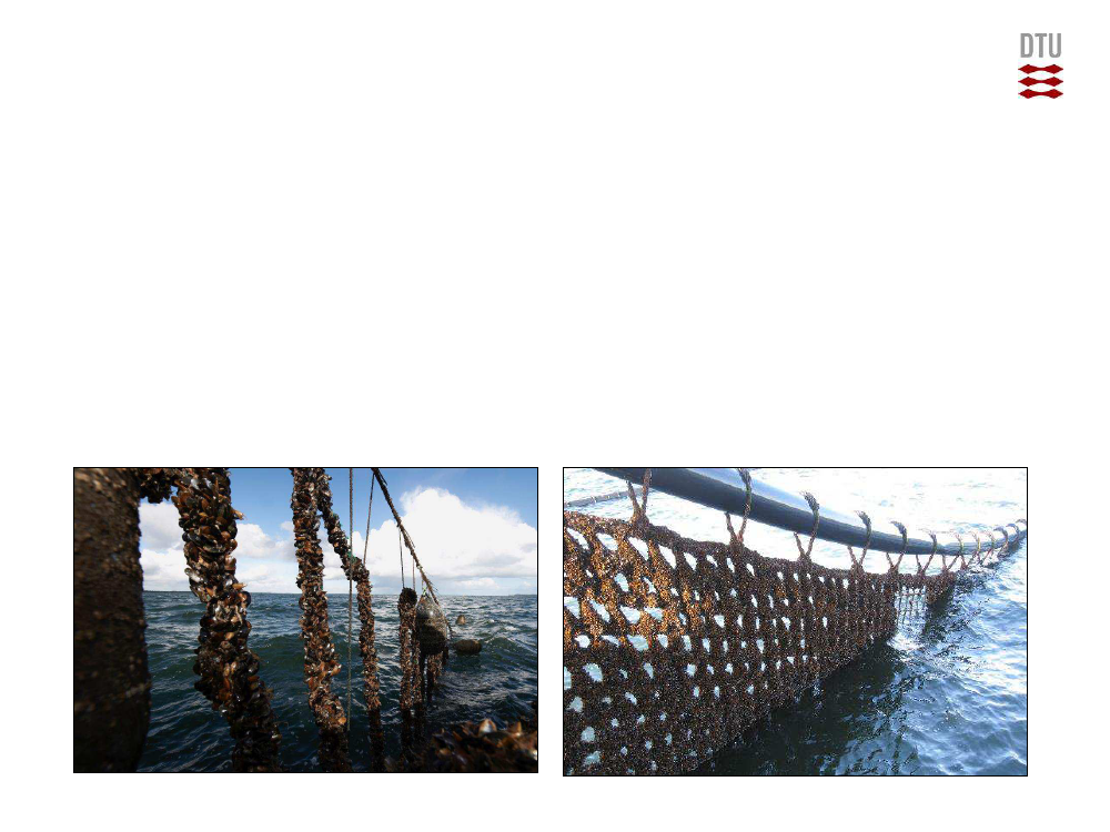 1748376_0015.png