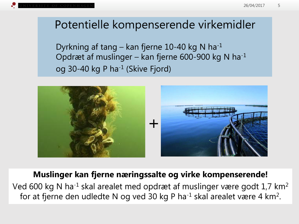 1748377_0005.png
