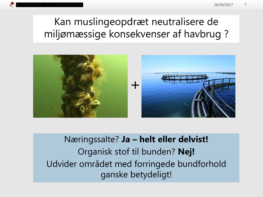 1748377_0007.png