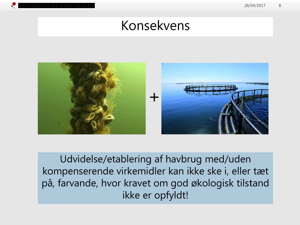 1748377_0008.png