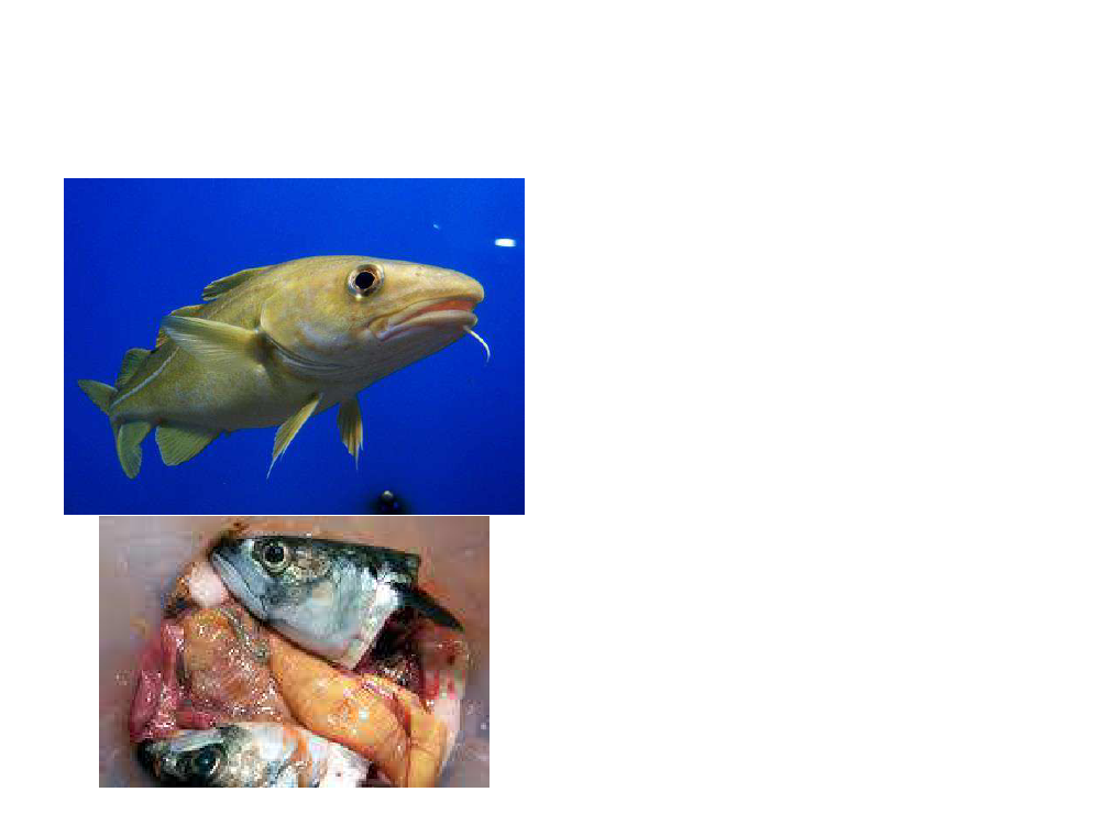 1755045_0007.png