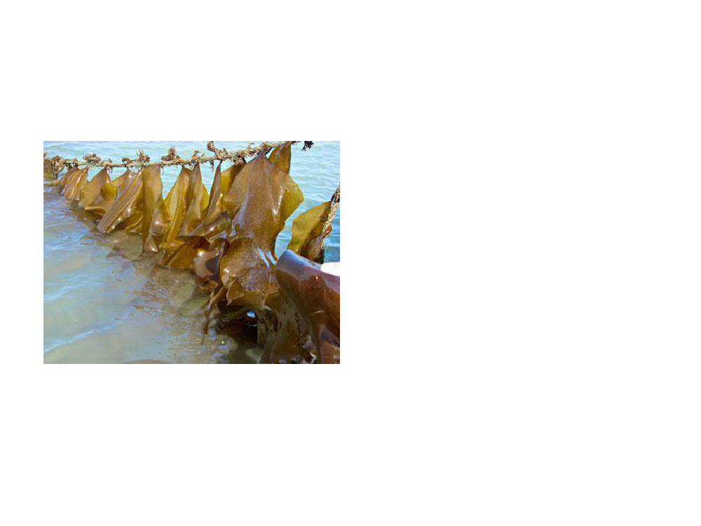 1755045_0008.png