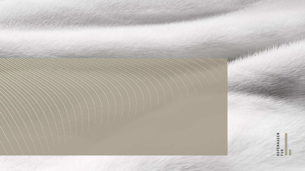 1755050_0001.png