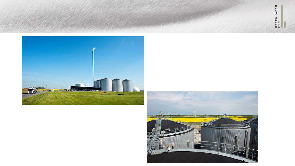 1755050_0014.png
