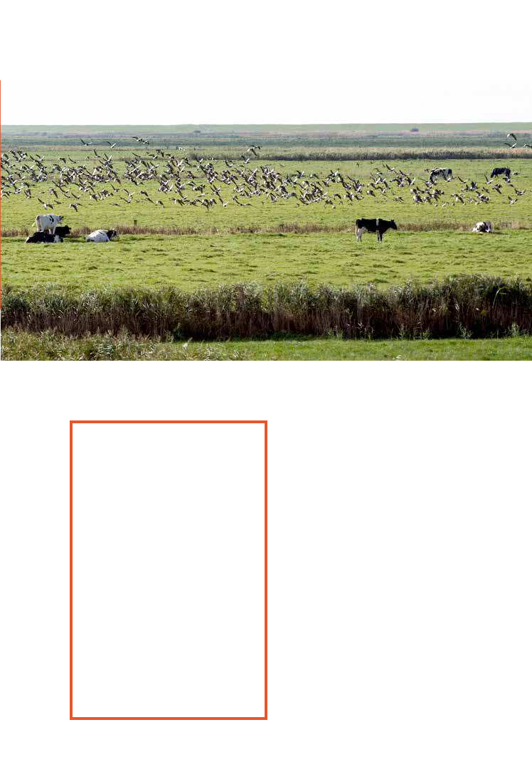1759488_0053.png
