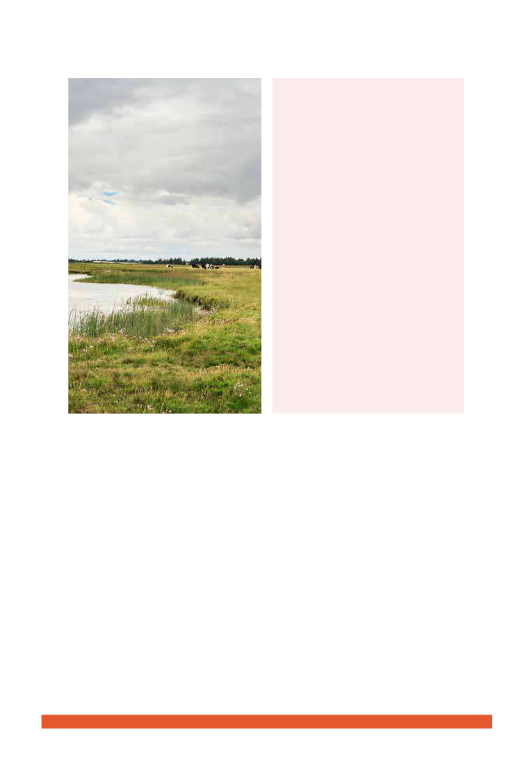 1759488_0113.png