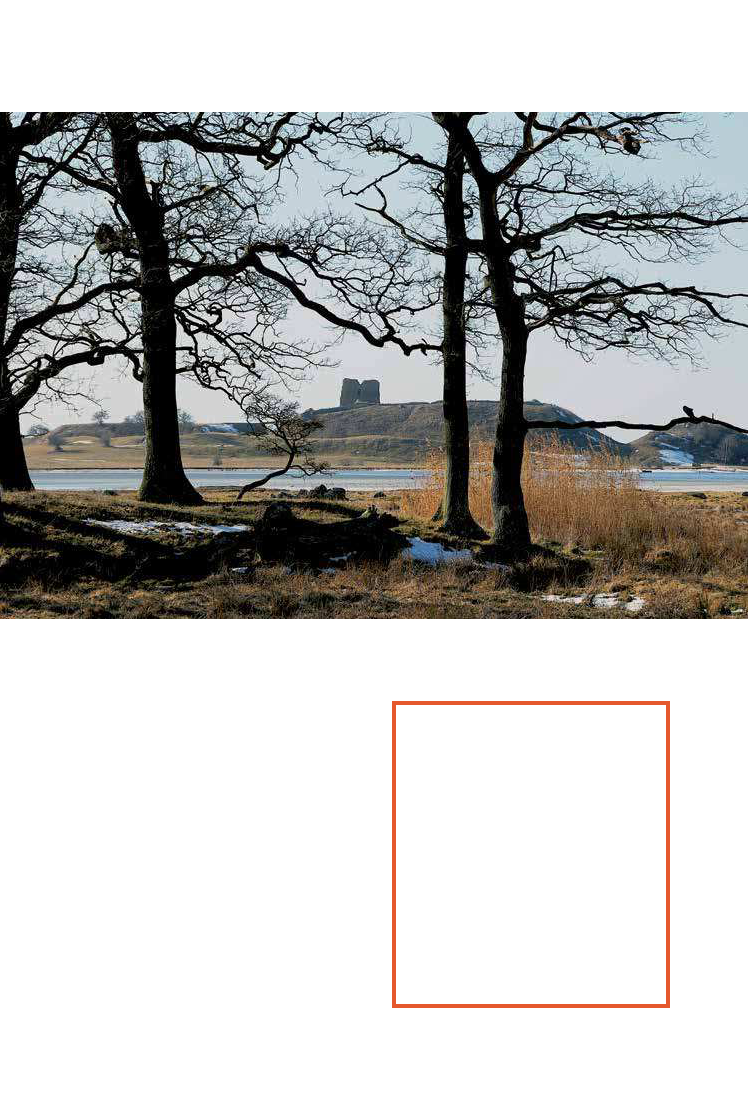 1759488_0115.png