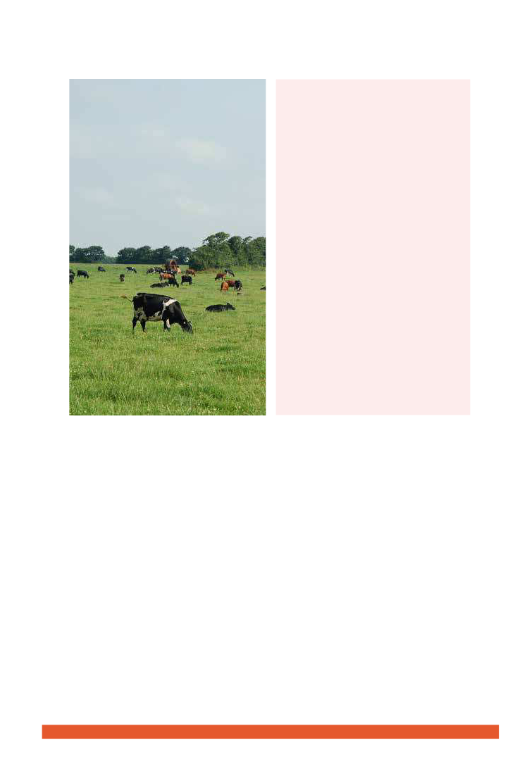1759488_0119.png