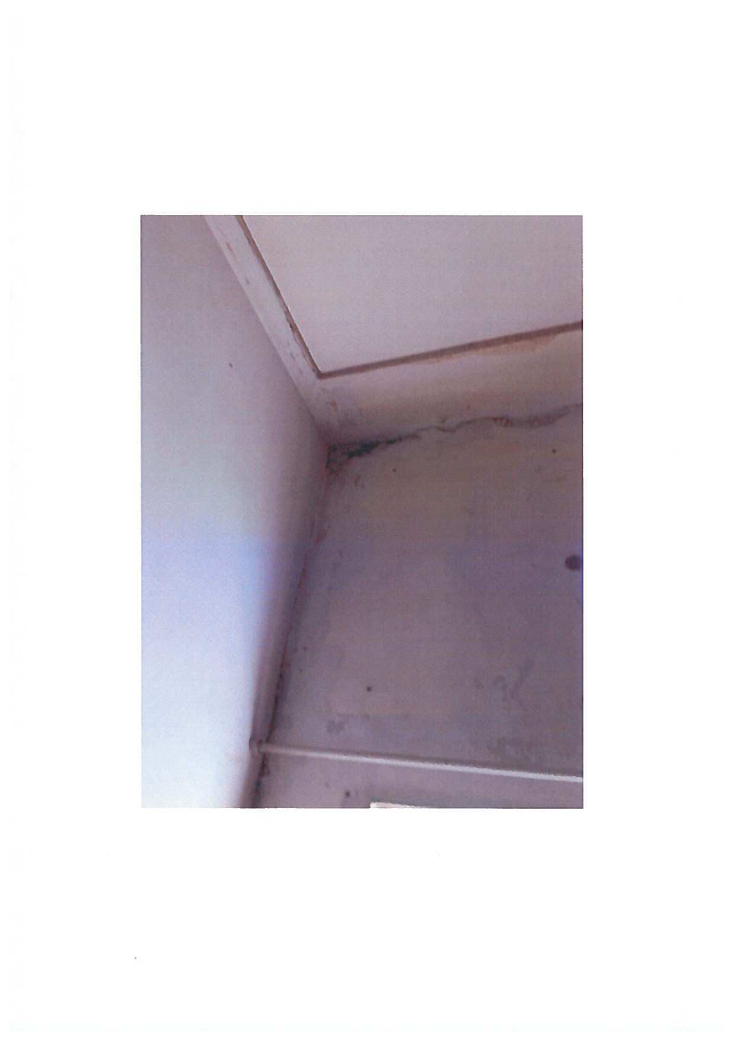 1759973_0003.png