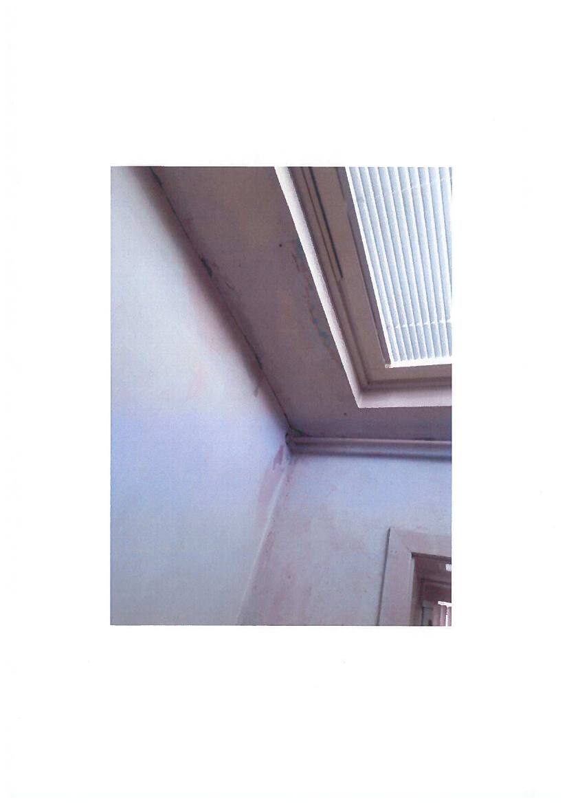 1759973_0005.png