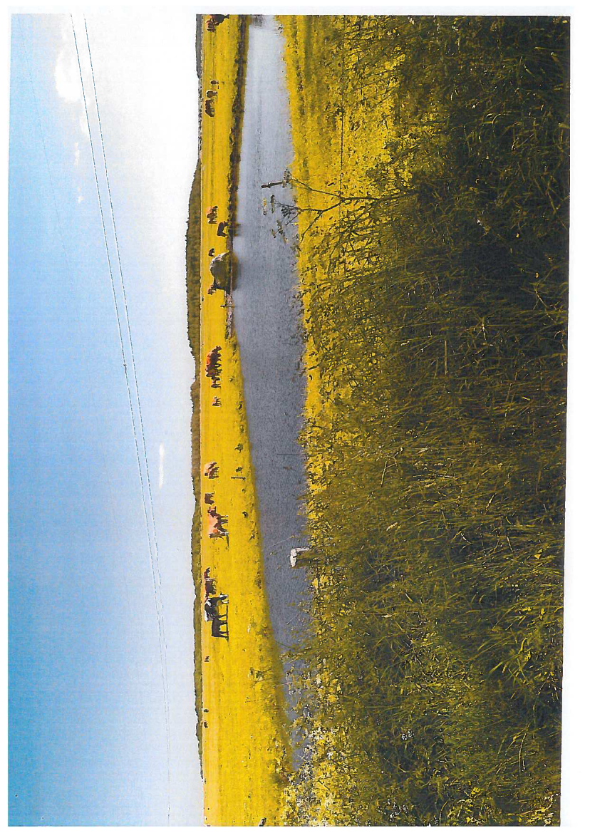 1769245_0003.png