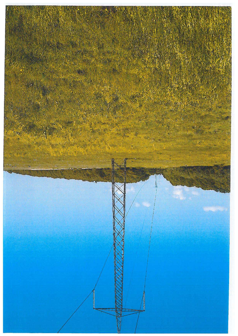 1769245_0004.png