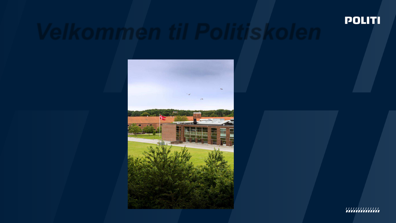 1772473_0001.png