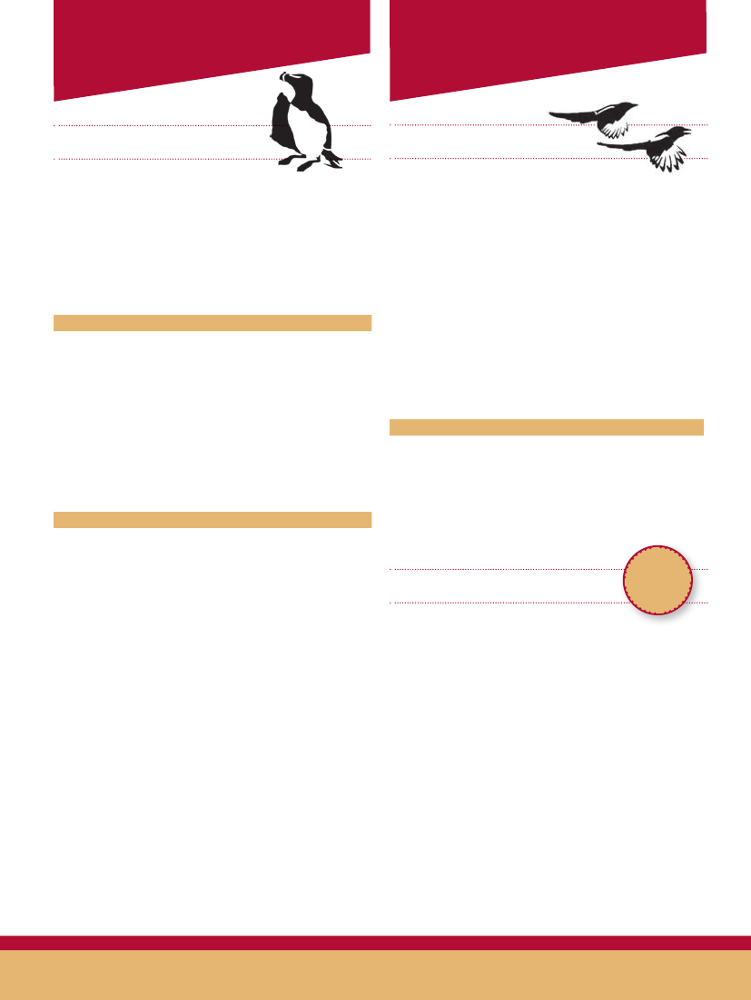 1811071_0034.png