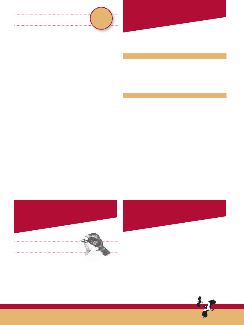 1811071_0035.png