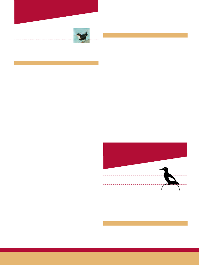 1811071_0036.png