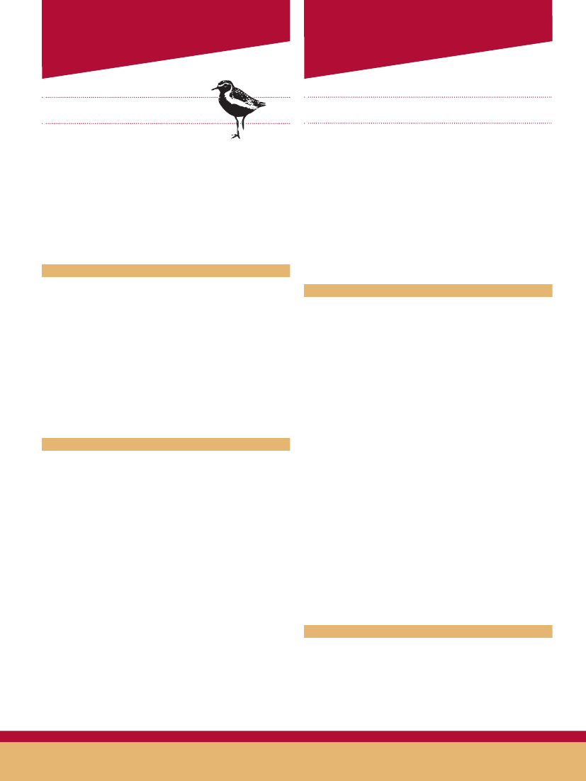 1811071_0044.png
