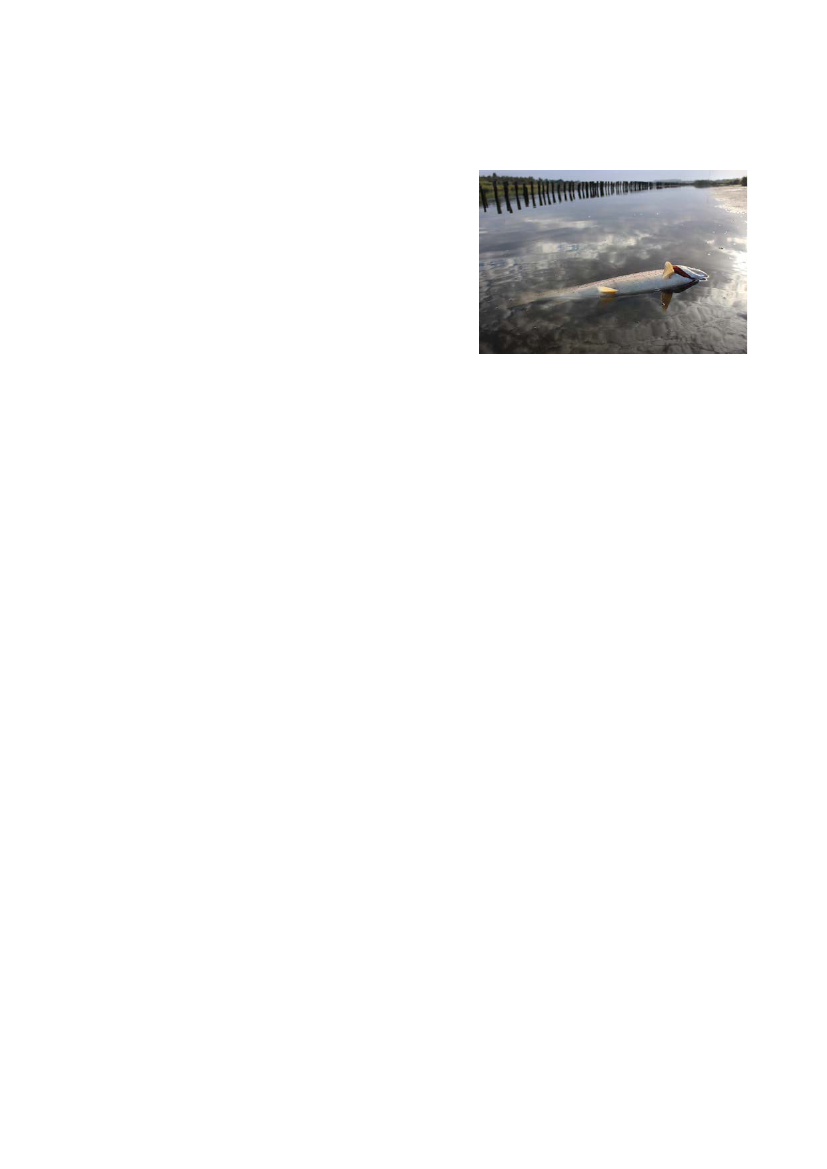 1844069_0054.png