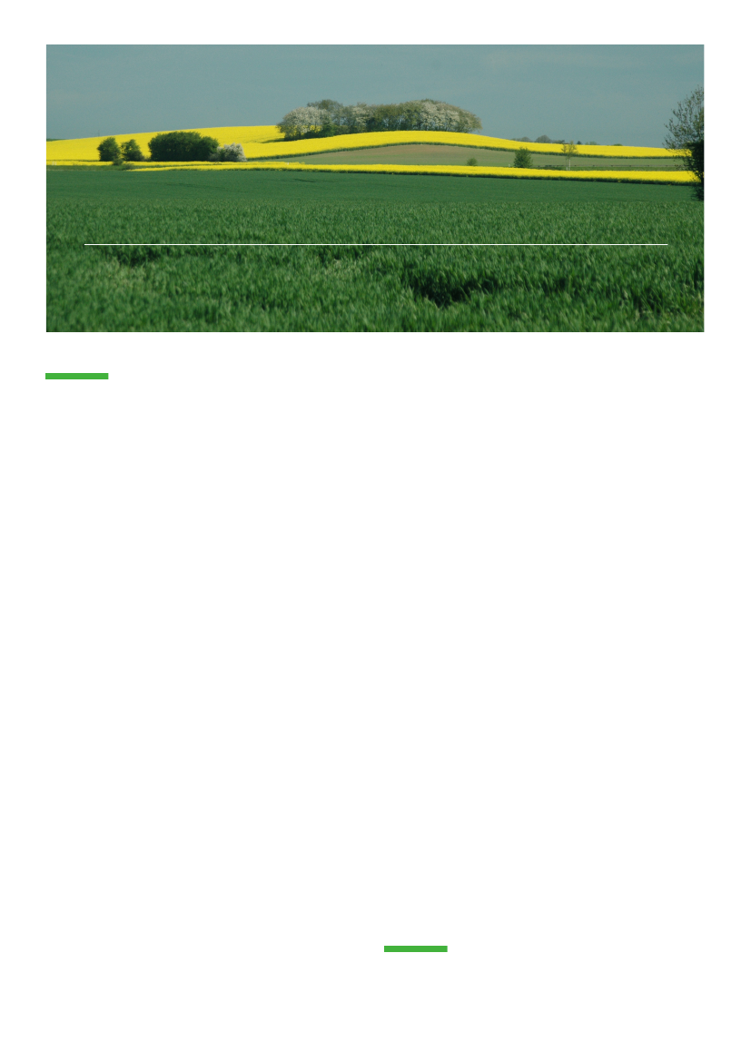 1845210_0001.png
