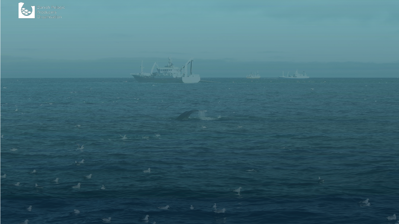 1847768_0002.png
