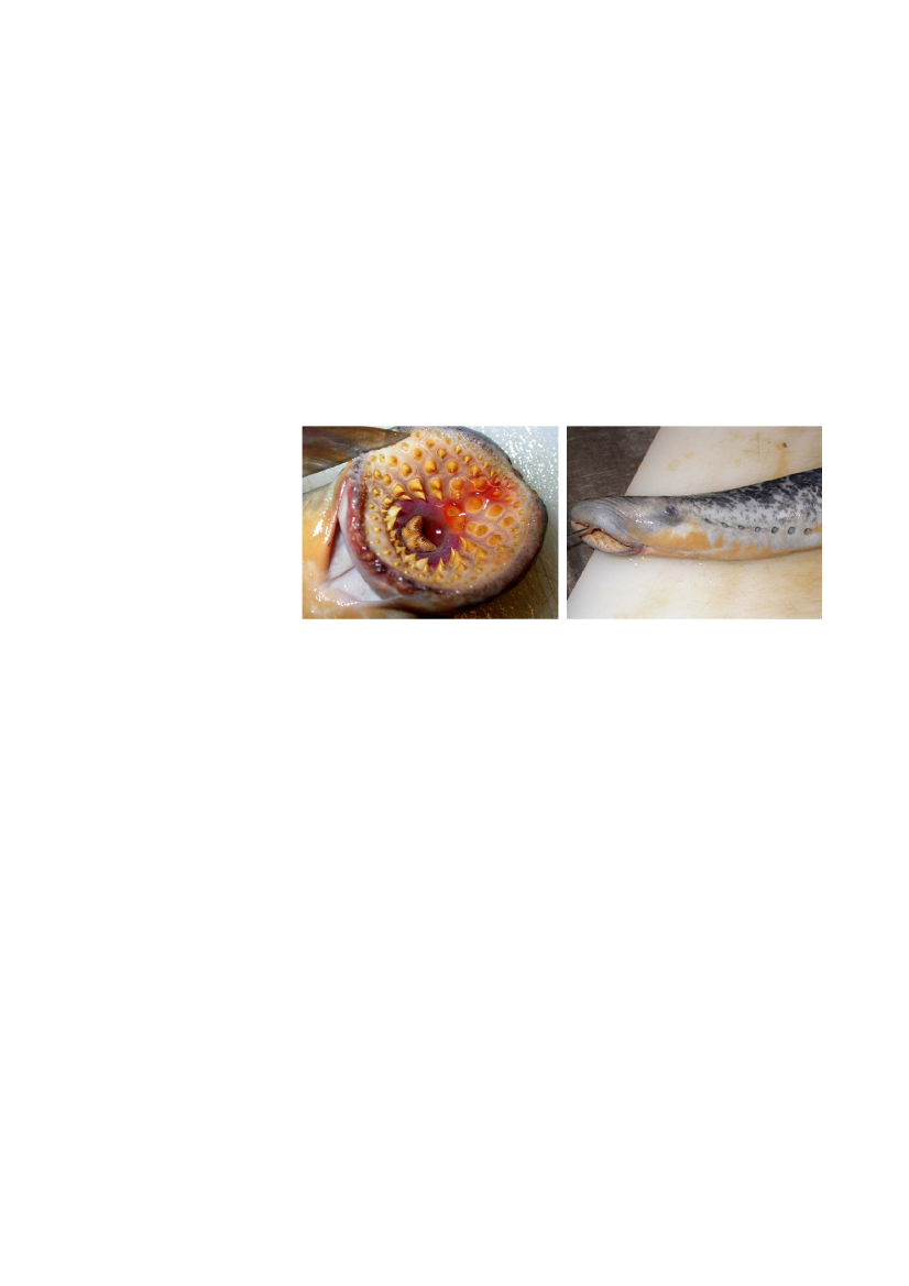 1851456_0028.png