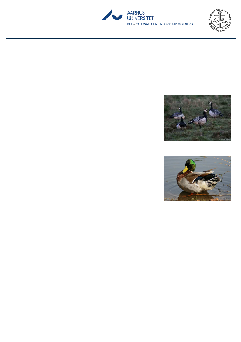 1851457_0009.png