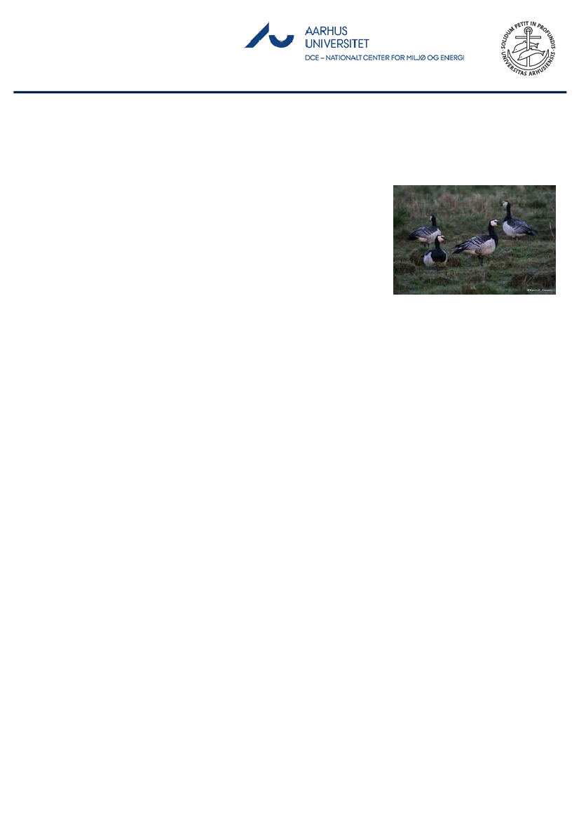 1851457_0011.png