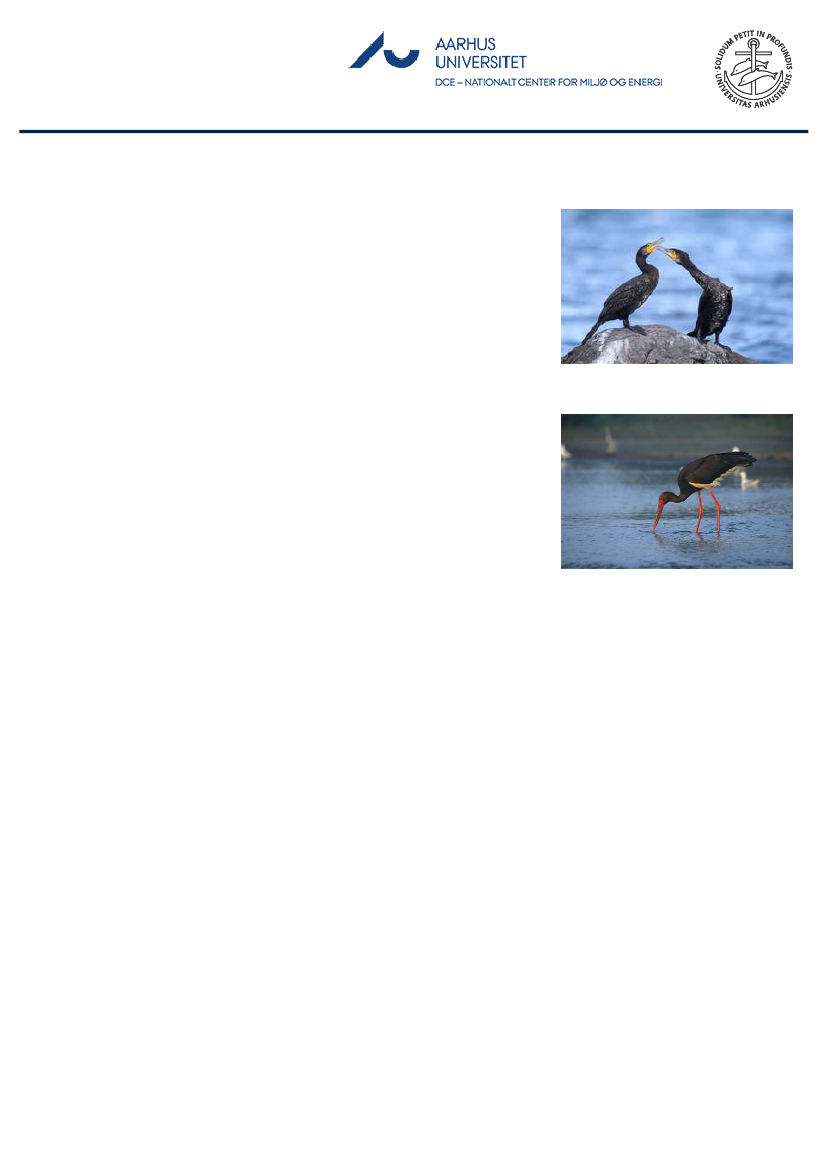 1851457_0013.png