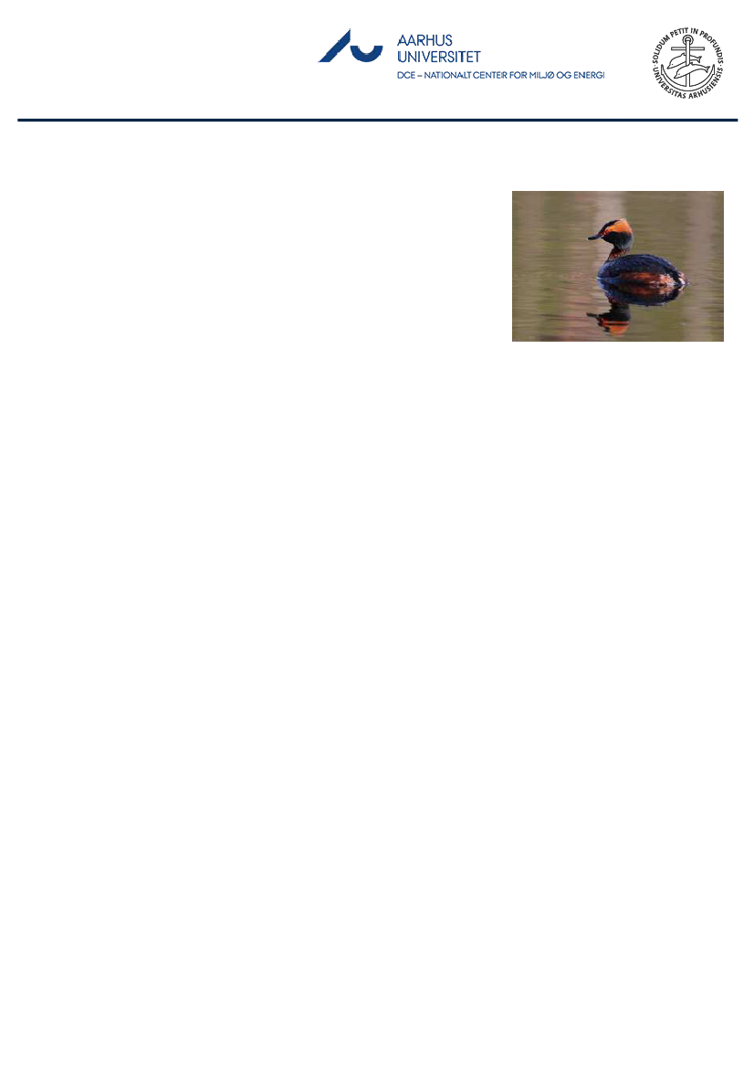 1851457_0014.png