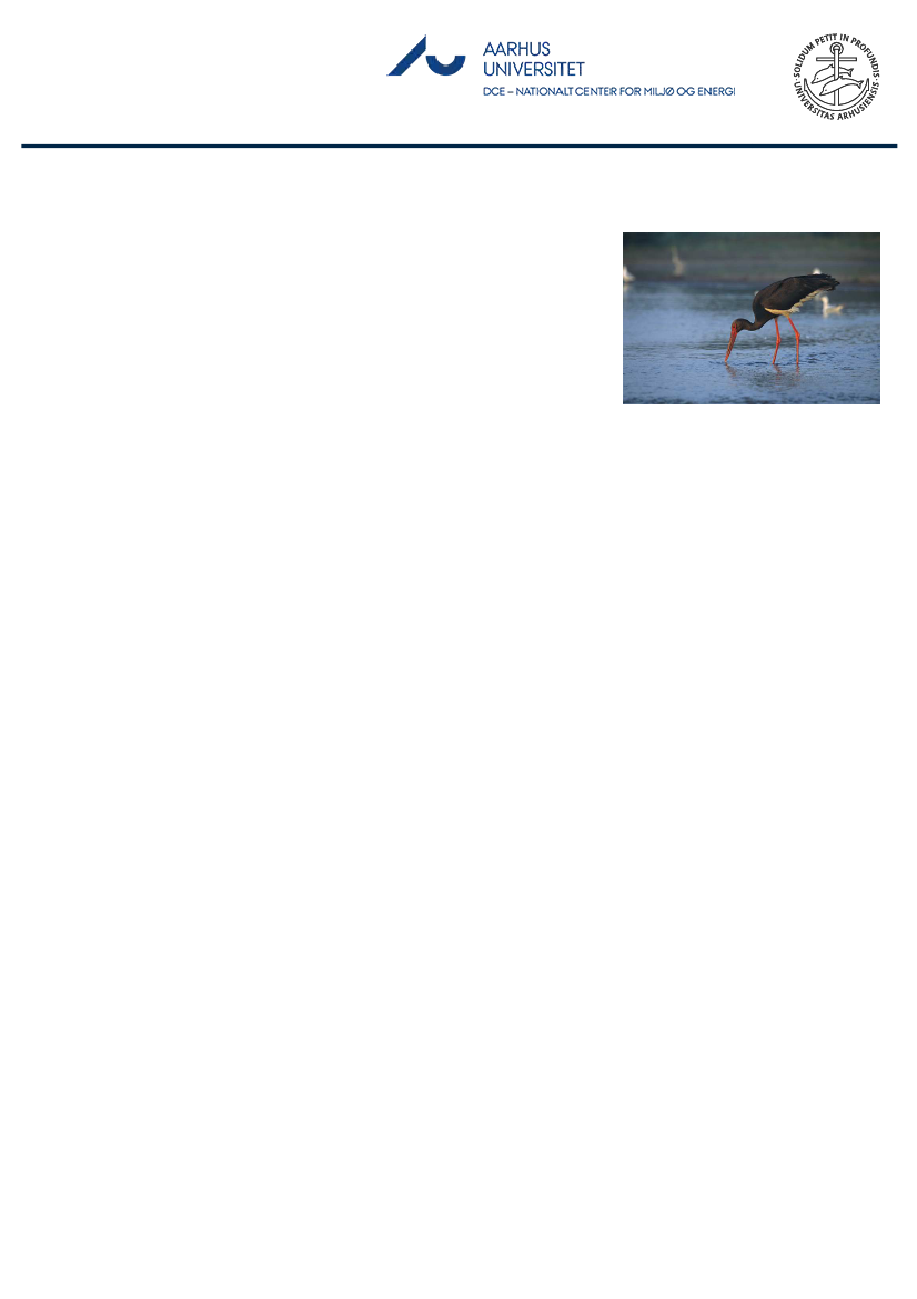 1851457_0017.png
