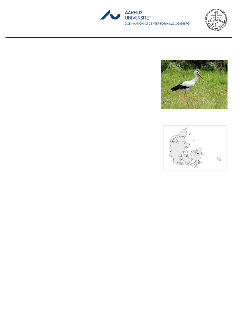 1851457_0018.png