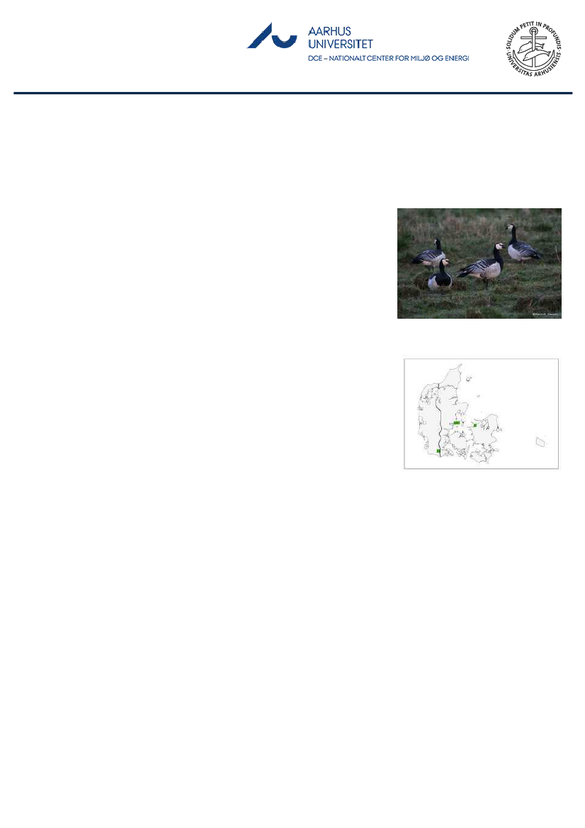 1851457_0022.png