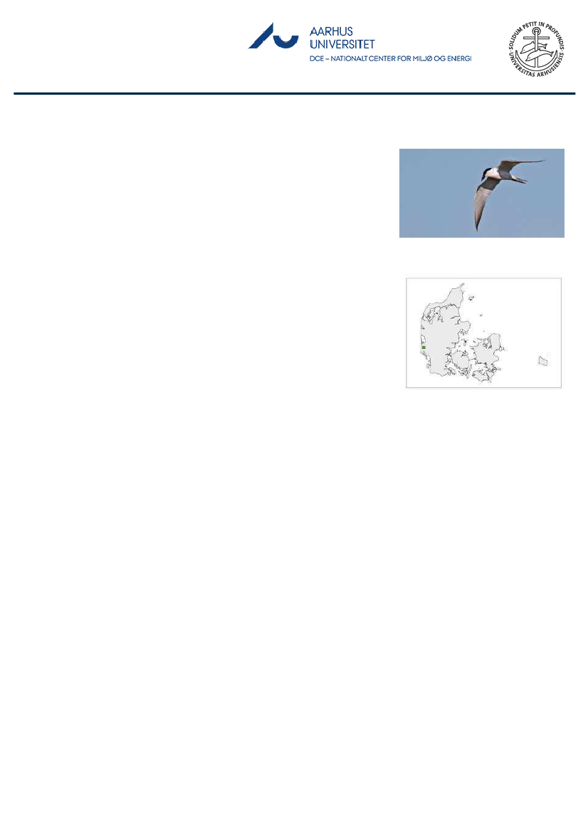 1851457_0039.png