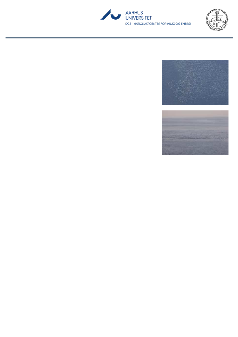 1851457_0045.png