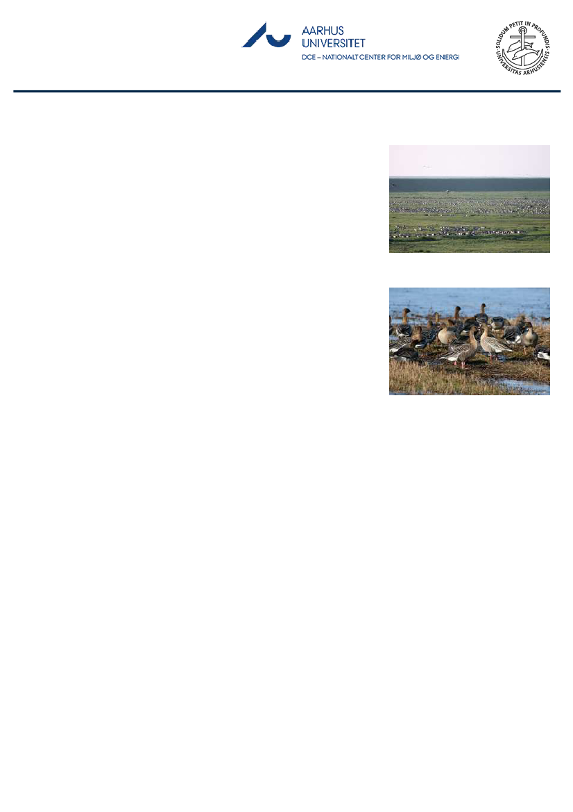 1851457_0051.png