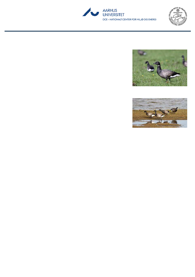 1851457_0052.png