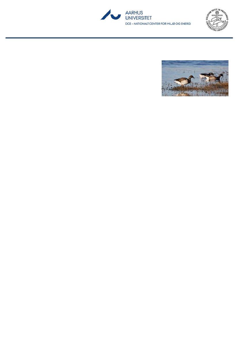 1851457_0053.png