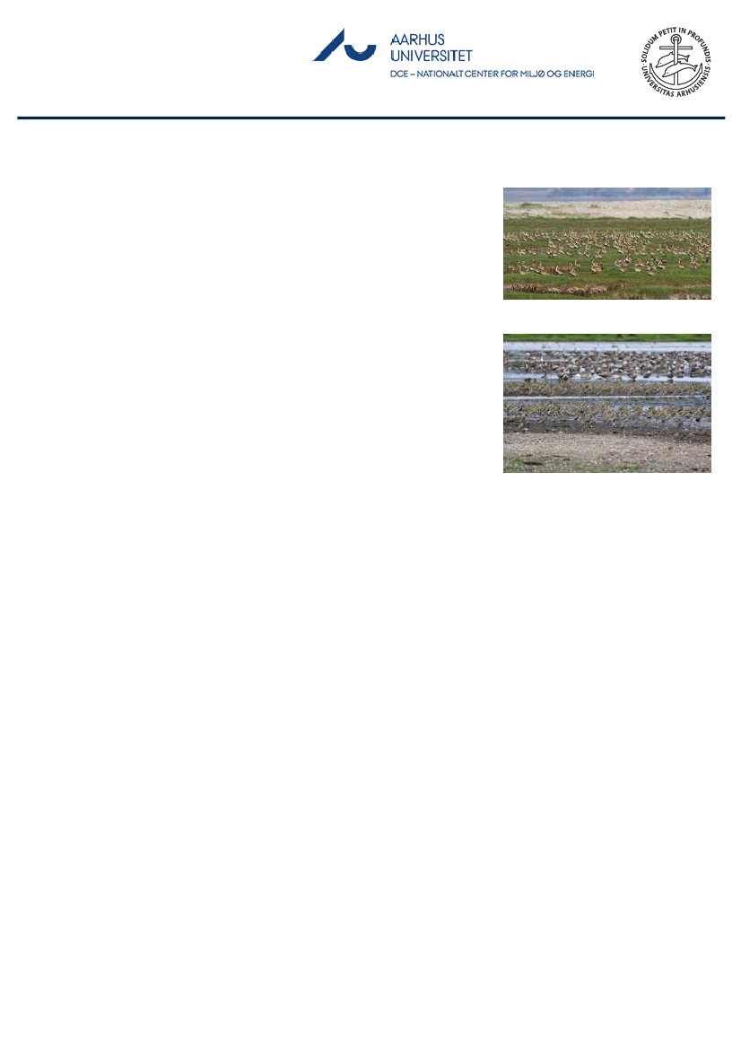 1851457_0055.png