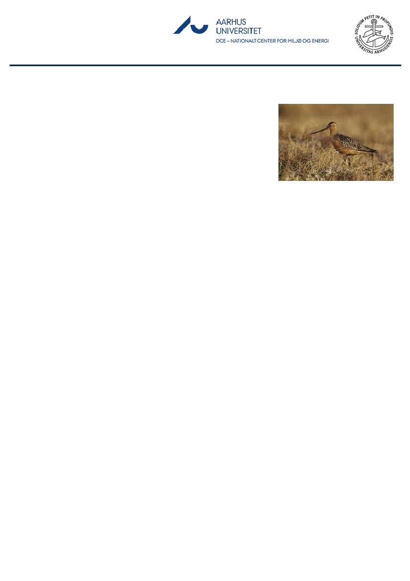 1851457_0056.png