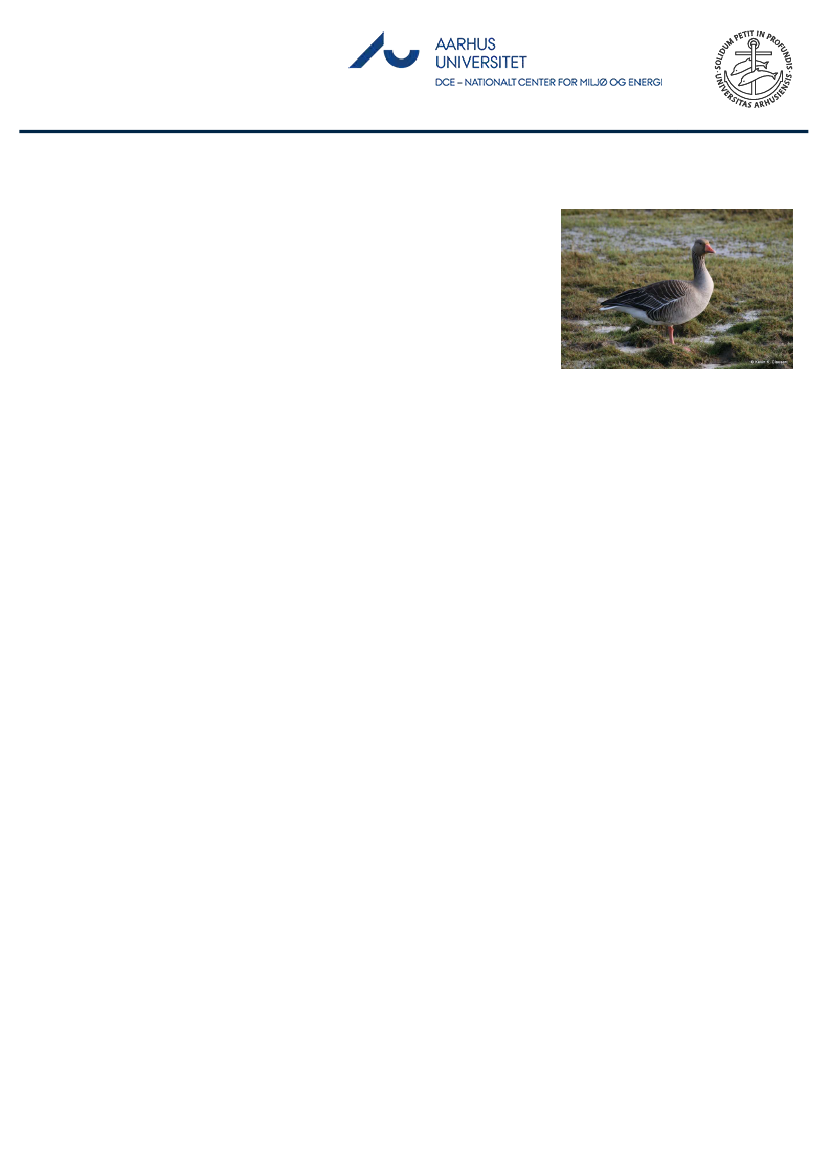 1851457_0057.png