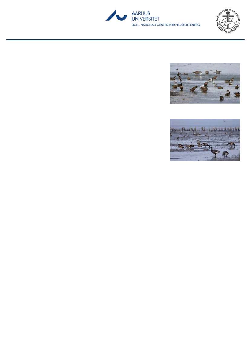 1851457_0058.png